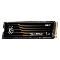 MSI Spatium M480 1TB M2 Gen4 x4 NVMe  SSD