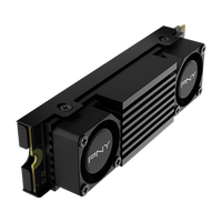 PNY CS3150 2TB SSD M2 PCIe Gen5 x4 NVMe Disipador PNY CS3150 2TB SSD M2 PCIe Gen5 x4 NVMe Disipador