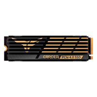 Team Group Cardea A440 M2 PCIe Gen4 NVMe 2TB  SSD