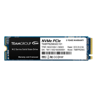 Team Group MP33 256GB |  SSD M.2 PCIe Gen3x4 NVMe