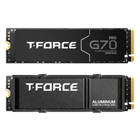 Team Group TForce G70 PRO 1TB   SSD M2 PCIe Gen4x4 NVMe con Disipador