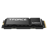 Team Group TForce G70 PRO 1TB   SSD M2 PCIe Gen4x4 NVMe con Disipador