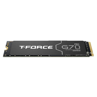 Team Group TForce G70 PRO 1TB   SSD M2 PCIe Gen4x4 NVMe con Disipador