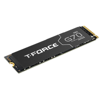 Team Group TForce G70 PRO 1TB   SSD M2 PCIe Gen4x4 NVMe con Disipador