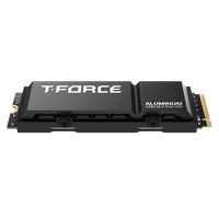 Team Group TForce G70 PRO 2TB   SSD M2 PCIe 40 NVMe con Disipador Térmico
