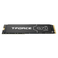 Team Group TForce G70 PRO 2TB   SSD M2 PCIe 40 NVMe con Disipador Térmico