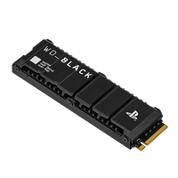 WD Black SN850P 1TB SSD M2 PCIe 40 NVMe Para Sony PS5 WD Black SN850P 1TB SSD M2 PCIe 40 NVMe Para Sony PS5