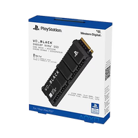 WD Black SN850P 2TB SSD M2 PCIe 40 NVMe Para Sony PS5 WD Black SN850P 2TB SSD M2 PCIe 40 NVMe Para Sony PS5