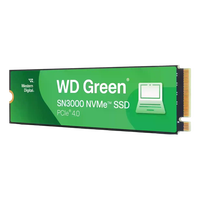 WD Green SN3000 2TB SSD M2 PCIe 40 NVMe WD Green SN3000 2TB SSD M2 PCIe 40 NVMe