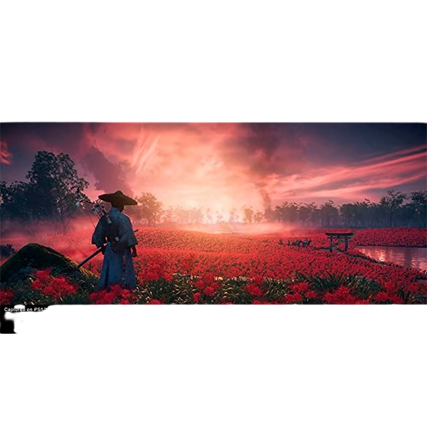 Sony PS5 Ghost Of Tsushima directors cut Videojuego Sony PS5 Ghost Of Tsushima directors cut Videojuego