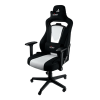 Nitro Concepts E250 Negro  Blanco  Silla