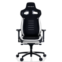 Vertagear PL4800 Negro  Blanco  Silla Ergonómica Reclinable Ajuste Lumbar Reposabrazos 4D
