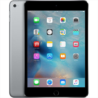 IPad mini 4 16GB gris espacial