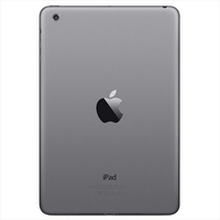 IPad mini 4 16GB gris espacial