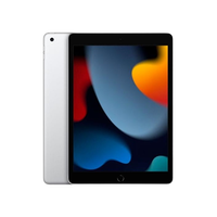 Apple iPad 2021 102 256GB WIFI Plata  Tablet