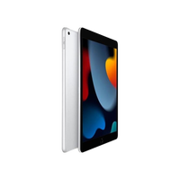 Apple iPad 2021 102 256GB WIFI Plata  Tablet