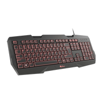 Genesis RX22 gaming usb  Teclado