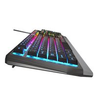 Genesis RHOD 300 RGB  Teclado