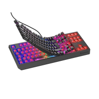 Genesis Thor 230 TKL Teclado Mecánico RGB Switches Outemu RED Hotswappable Antighosting Genesis Thor 230 TKL Teclado Mecánico RGB Switches Outemu RED Hotswappable Antighosting