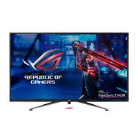 Asus XG438Q 43 4K 120Hz HDMI DP  Monitor