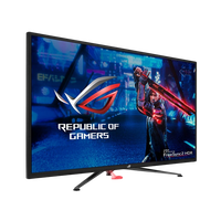 Asus XG438Q 43 4K 120Hz HDMI DP  Monitor