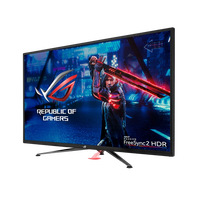 Asus XG438Q 43 4K 120Hz HDMI DP  Monitor