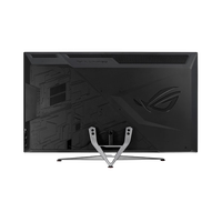 Asus XG438Q 43 4K 120Hz HDMI DP  Monitor