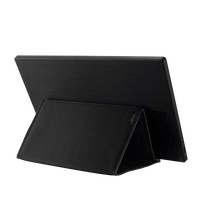 ASUS ZenScreen MB166B 156 LED IPS Full HD  Monitor