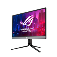 Asus XG17AHP 173 Full HD IPS 240Hz USBC Bat  Monitor