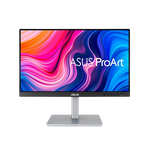 ASUS PA247CV 24