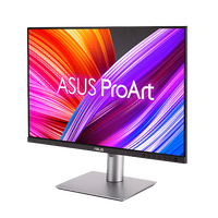 ASUS ProArt PA248CRV  Monitor 241 IPS FHD USBC PD