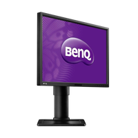 BenQ BL2411PT  24 IPS 5ms DVIVGADP  Monitor