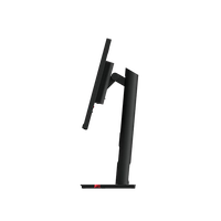 Lenovo T24i30 238 IPS FHD Pivotable DP  Monitor