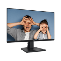 MSI Pro MP251 Monitor 245 IPS 100Hz 1ms HDM VGA MSI Pro MP251 Monitor 245 IPS 100Hz 1ms HDM VGA