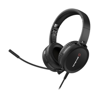 Avermedia BO317 Webcam PW313 Auricular AH313 Kit para videoconferencia Avermedia BO317 Webcam PW313 Auricular AH313 Kit para videoconferencia