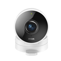 DLink DCS8100LH  Cámara IP