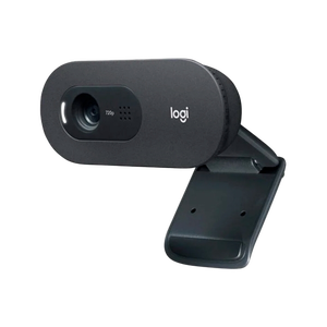 Logitech C505 HD  Webcam