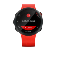 Garmin Forerunner 45 Rojo Smartwatch