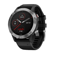 Garmin Fenix 6 PlataNegro  Smartwatch
