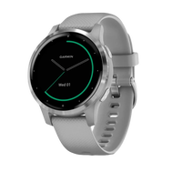 Garmin Vivoactive 4S GrisPlata  Smartwatch