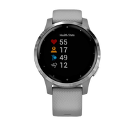 Garmin Vivoactive 4S GrisPlata  Smartwatch