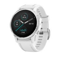 Garmin Fénix 6S Plata  Blanco  Smartwatch