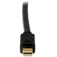StarTechcom Adaptador de Vídeo Mini DP 18m  Cable